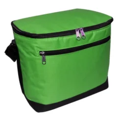 12-Pack Cooler Bag -Travel Storage Store 1695 kelly 450px 550x550.jpg