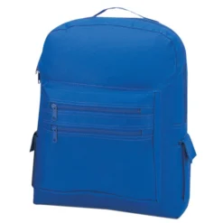 School Backpack -Travel Storage Store 2021 001 550x550h.jpg