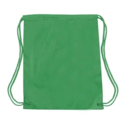 Boston Drawstring Backpack -Travel Storage Store 8881 all colors high res kelly 550x550w.jpg 1