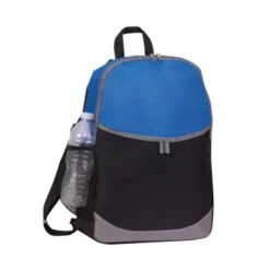 Basic Backpack -Travel Storage Store BP1309 2 550x550h.jpg