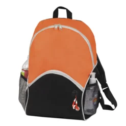 Future Backpack -Travel Storage Store BP806 2 550x550h.jpg