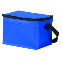 Back To Basics 6-Can Cooler Bag 13 Back To Basics 6-Can Cooler Bag -Travel Storage Store CB1507 4 550x550w.jpg