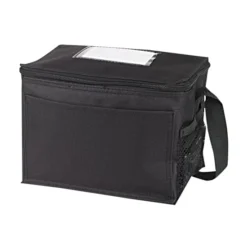 6-Can Cooler Bag -Travel Storage Store CB600 3 550x550w.jpg