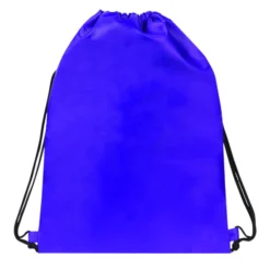 Basic Drawstring Backpack -Travel Storage Store DS1501 5 550x550h.jpg