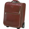 Brown Trolley Case