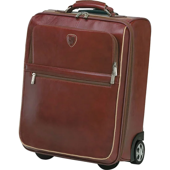 Brown Trolley Case 1 Brown Trolley Case