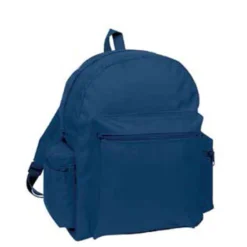 Standard School Backpack