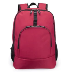 Poly Computer Backpack W/ Padded Back Panel